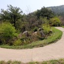 도비산 등산로 이미지