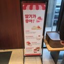 듀레베이커리청주명암점 | (청주/명암동) 듀레베이커리 명암점 소금빵 맛집, 산딸기바게트까지 솔직후기