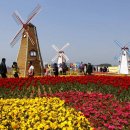 대부바다향기 테마파크 이미지