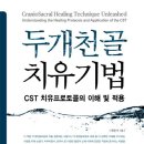 씨에스티 이미지