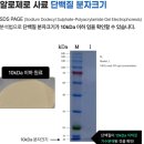 정샘동물병원 이미지