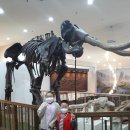 덕소자연사박물관 이미지