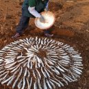 창수농장 이미지