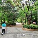 정발산로 이미지