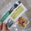 아인플로라 이미지