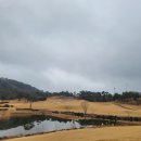 화.수.목(花.水.木 이미지