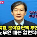 조국, 국짐 본인들이 하면 합헌적인가 이미지