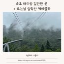 금성카서비스 | 강원도 속초 아이랑 가볼 만한 곳 비 오는 날 설악산 케이블카