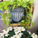 용산-이촌-204 이미지