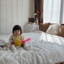 수원 동탄 아기사진관 더렐스튜디오 돌사진 후기