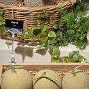 경성무역 이미지