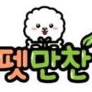 펫만찬 이미지
