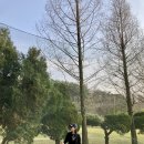 샛별스크린골프 이미지