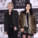 스피카 카카오 검색결과