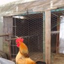 현인농장 이미지