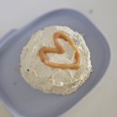 [뿜뿜일기] 1년+1주차 (364-370) : 돌아기랑 서울 당일치기, 기자아 풀빌라, 지아지조 캐리어, 걸어서...