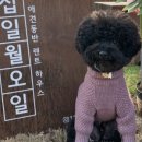 십일월오일 이미지