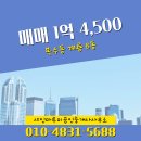 계룡공인중개사사무소 | 복수동 아파트 계룡 샤인마루미공인중개사사무소 매물