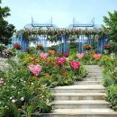 Return to 대학가요제 콘서트 이미지