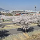 옥곡동 강변도로 이미지