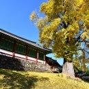 능주 향교 이미지