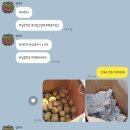 신시도세꼬시 | 6월 일상