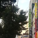 솔고헬스케어 이미지