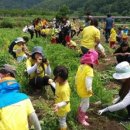 하조 산달뱅이 마을 | 광양시, 농촌체험휴양마을서 촌스러운 힐링여행