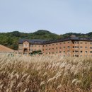 한티휴게소 | 한티성지-10월30일