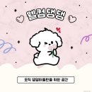 경기도 수원시 장안구 조원로50번길 | [수원조원동] 강아지 수원 애견유치원 "웰컴댕댕"