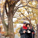 소나무쉼터 민박 이미지