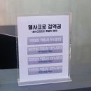 엘샤코로