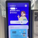 두란노작은도서관 | 유월 Part 1