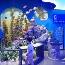돋보기 과학관 여행 | [영덕 울진 여행 3탄] 아이도 부모도 대만족! 국립울진해양과학관 완벽 정복기 (feat. 7/5 마감 임박...