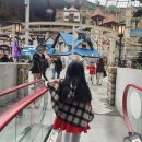 캣월드 | [잠실]7살생일 '샤론캣'50프로할인 후기 롯데월드할인 준비물 시간 포토존 팁!!!