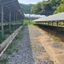 가온 행정사 사무소 이미지