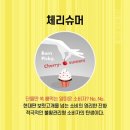 래빗코리아 이미지