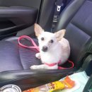 동석농장 이미지