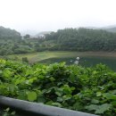 양지공원가든 이미지