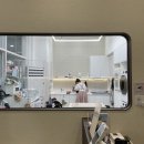 고양이 미용실 | 오픈형 미용실 '고양이 전문 미용실 나디캣' 목욕 후기