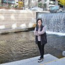 11월 14일 금요일 신진 시장 닭 한 마리 골목 먹 방 모임 전체 후기 이미지