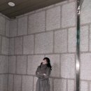 LG탕 | 전시회 두탕 후기 (아포칼립스, 물방울 전시)