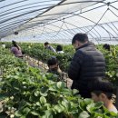 미주농장 이미지