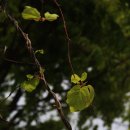 문수산 산림욕장 이미지