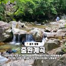 중원-77 | 경기도 양평 용문산 중원계곡, 강아지출입 취사여부 물놀이 탐방기