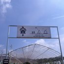 cafe숲 | 캠핑과 카페를 한 번에! 괴산 이색 카페 '숲, Camp&amp;Cafe' 솔직 후기