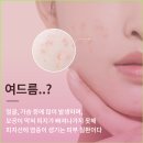 시카크림 뜻 비교 분석 후 구매한 시카크림