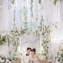 헤세드 이미지