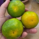 새론농장 이미지