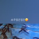 회;뜨는밤